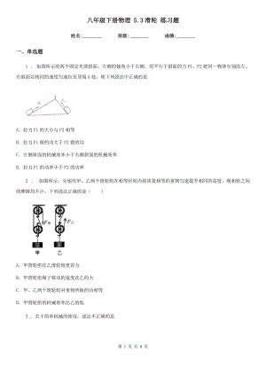 八年級(jí)下冊(cè)物理 5.3滑輪 練習(xí)題