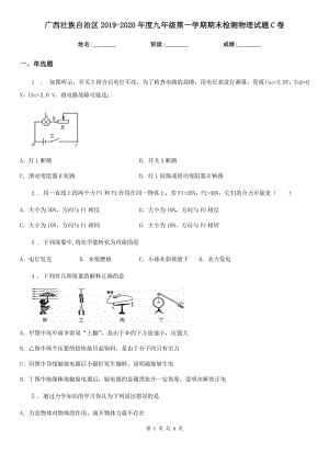 广西壮族自治区2019-2020年度九年级第一学期期末检测物理试题C卷