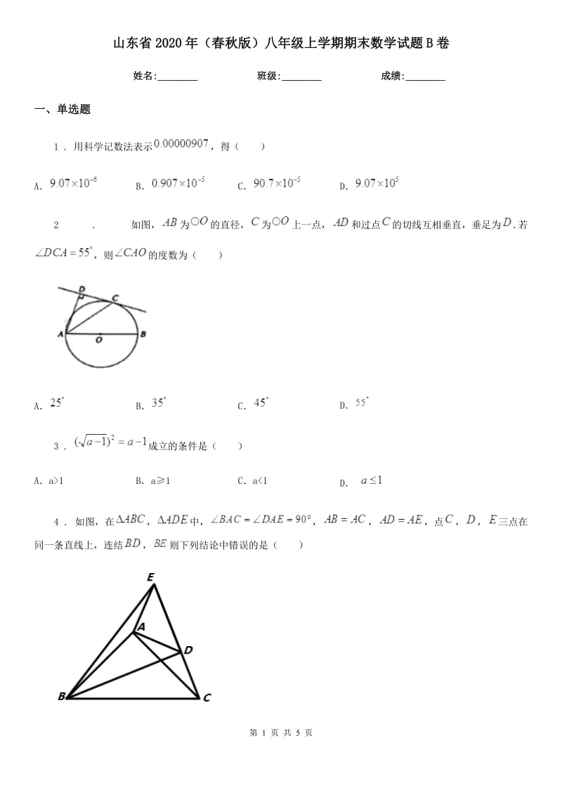 山东省2020年（春秋版）八年级上学期期末数学试题B卷_第1页