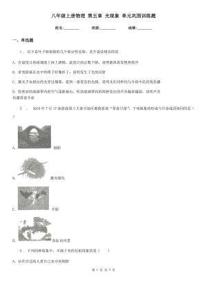 八年級(jí)上冊物理 第五章 光現(xiàn)象 單元鞏固訓(xùn)練題