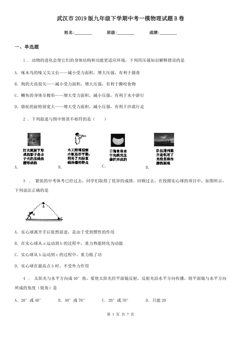 武汉市2019版九年级下学期中考一模物理试题B卷_第1页