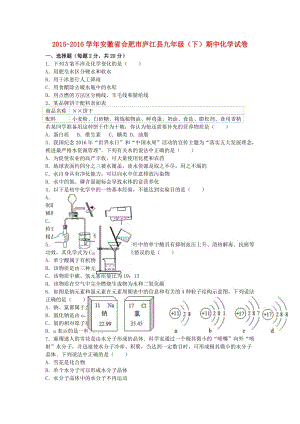 九年級(jí)化學(xué)下學(xué)期期中試卷（含解析） 新人教版3