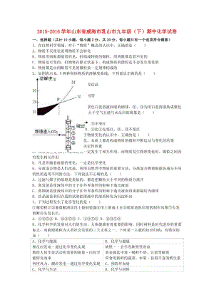 九年級(jí)化學(xué)下學(xué)期期中試卷（含解析） 魯教版五四制