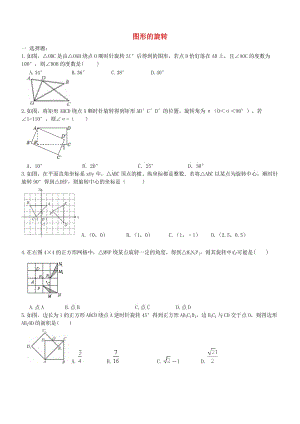 中考數(shù)學(xué)一輪專題復(fù)習(xí) 圖形的旋轉(zhuǎn)