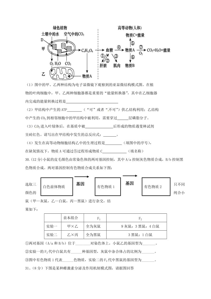 高三生物第17次考试试题_第3页