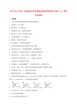 九年級(jí)化學(xué)上學(xué)期期中試卷（含解析） 新人教版3 (6)