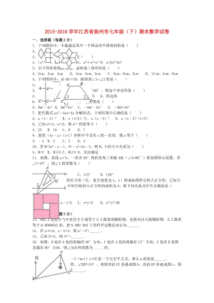 七年級數(shù)學(xué)下學(xué)期期末試卷（含解析） 蘇科版 (2)