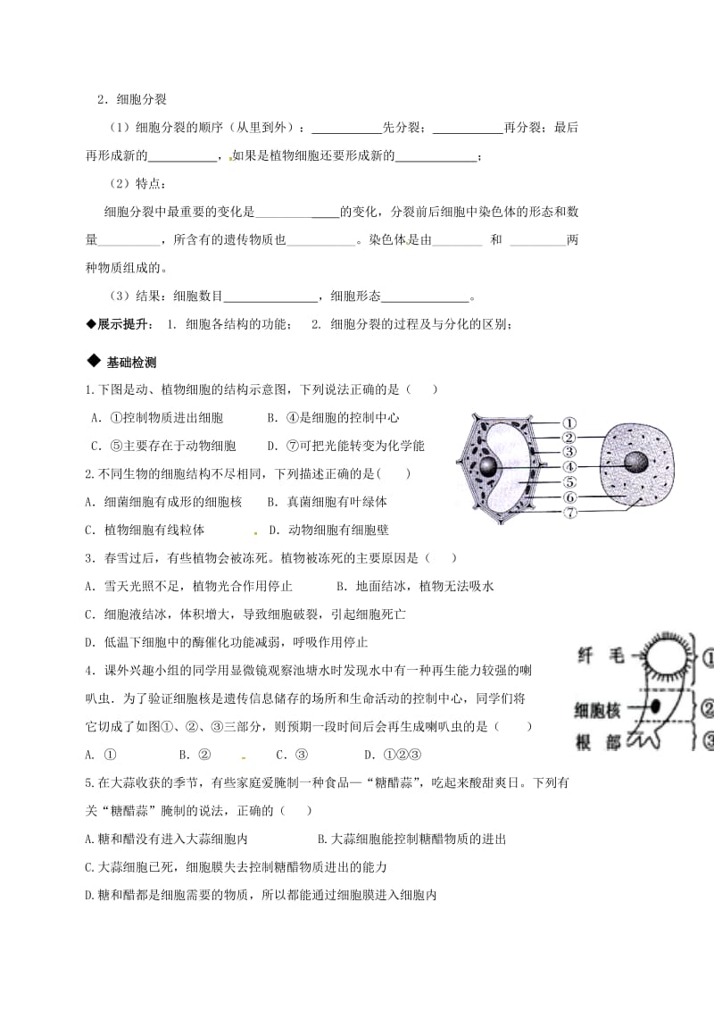 中考生物专题复习 细胞学案_第2页