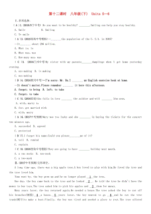 中考英語命題研究 第一部分 教材知識梳理篇 第十二課時 八下 Units 5-6（精練）試題1