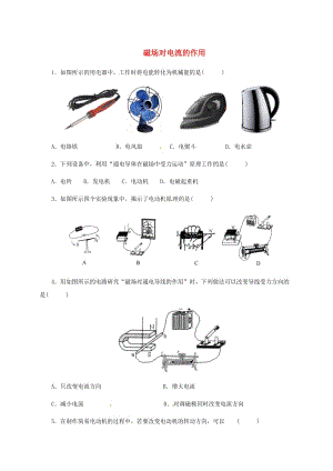 中考物理午練復(fù)習(xí)試題 磁場對電流的作用