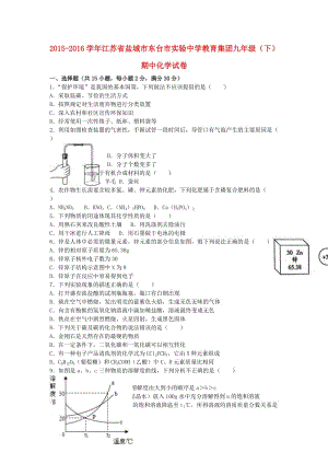 九年級化學(xué)下學(xué)期期中試卷（含解析） 滬教版