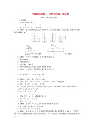 中考數(shù)學(xué)總復(fù)習(xí) 第二篇 專(zhuān)題聚焦 跟蹤突破1 巧解選擇題、填空題1