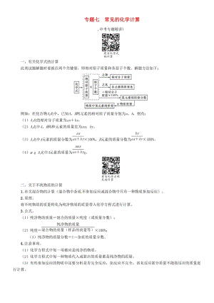 中考化學(xué)命題研究 第二編 重點題型突破篇 專題七 常見的化學(xué)計算（精講）試題1