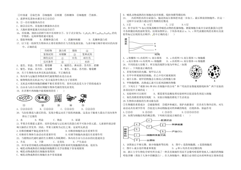 高一生物上学期期中试题99_第2页