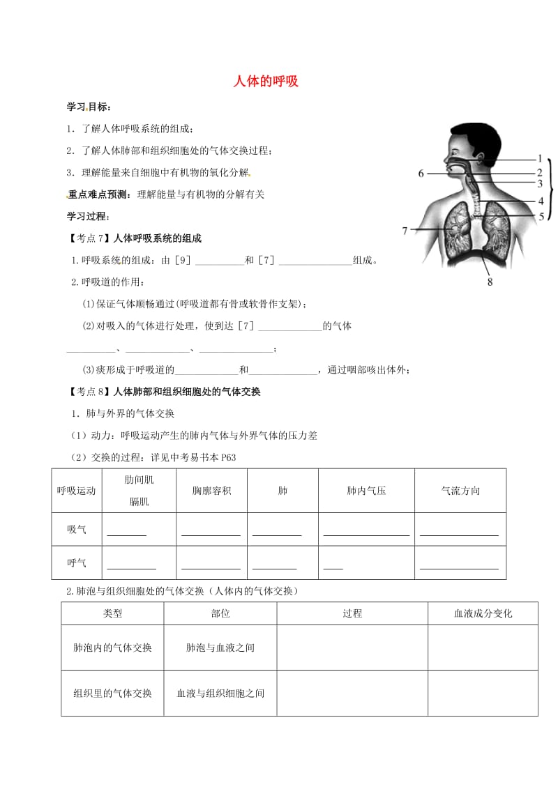 中考生物专题复习 第3讲 人体的呼吸学案_第1页