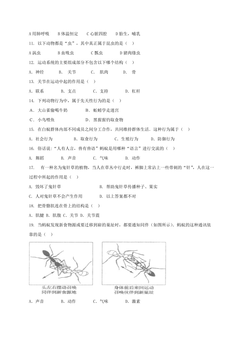 八年级生物上学期期中试题 新人教版11_第2页