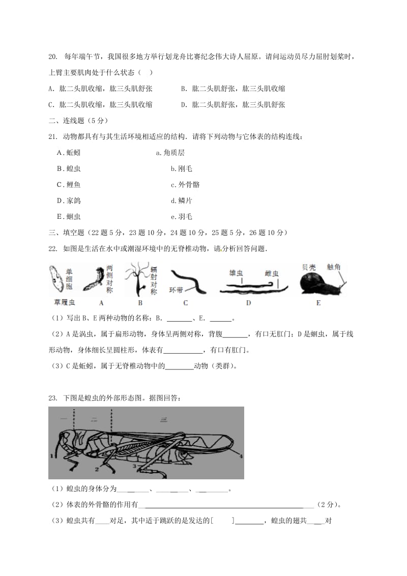 八年级生物上学期期中试题 新人教版11_第3页