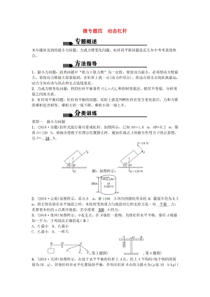 中考物理 微專題四 動態(tài)杠桿試題1