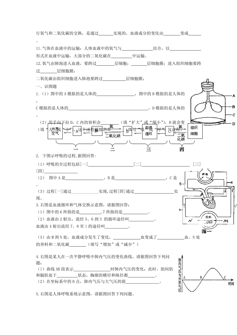 七年级生物下册 第10章《人体的能量供应》复习题（新版）北师大版_第2页