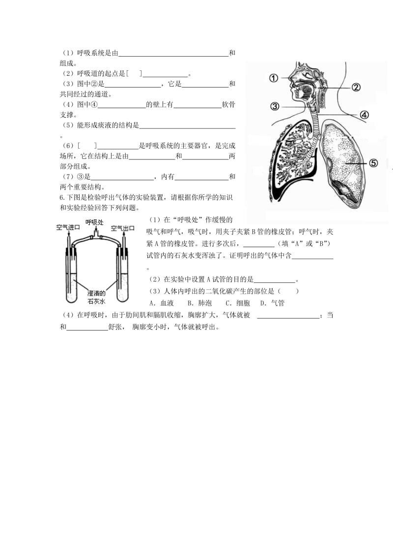 七年级生物下册 第10章《人体的能量供应》复习题（新版）北师大版_第3页