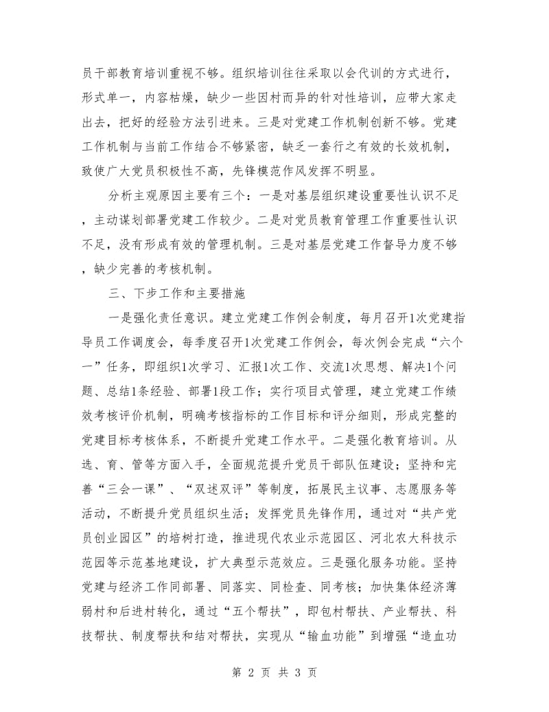 村书记基层党建述职报告_第2页