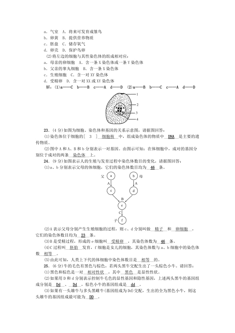 八年级生物下学期期中测试题 （新版）新人教版_第3页