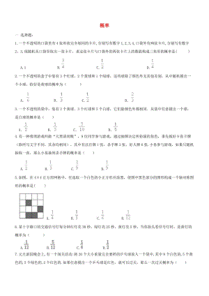 中考數(shù)學(xué)一輪專題復(fù)習(xí) 概率