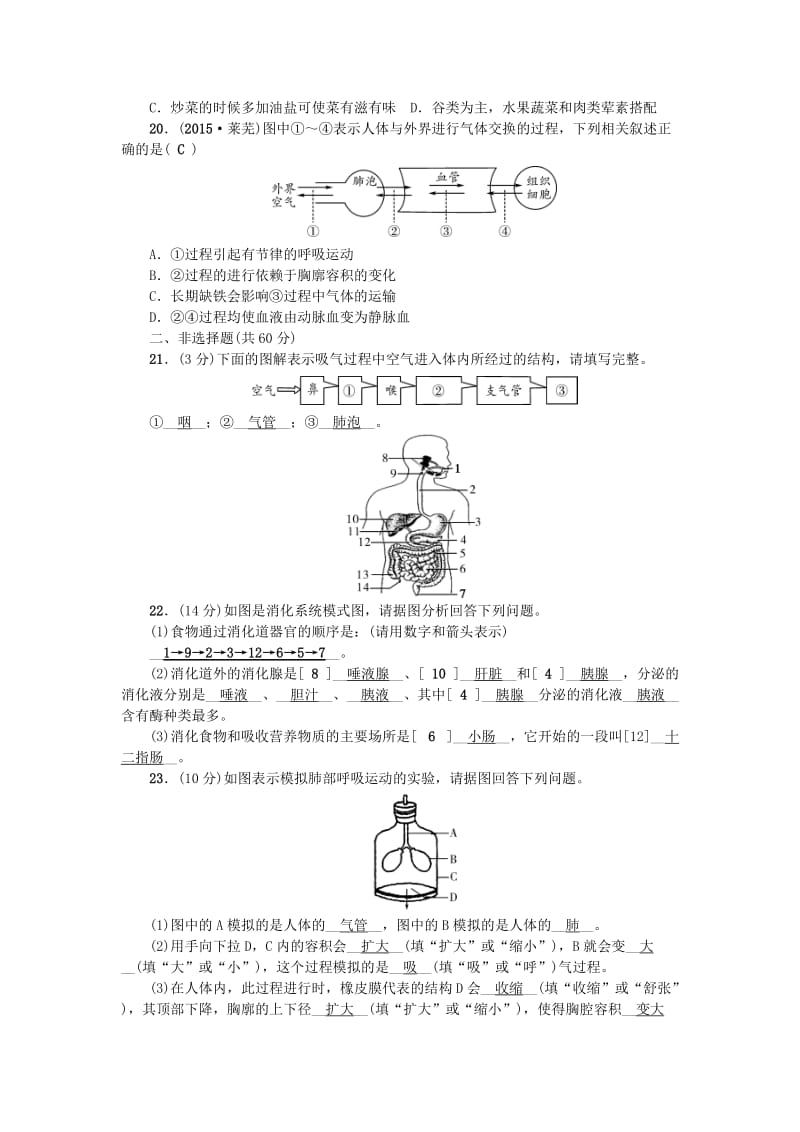 七年级生物下学期期中测试题 （新版）新人教版_第3页