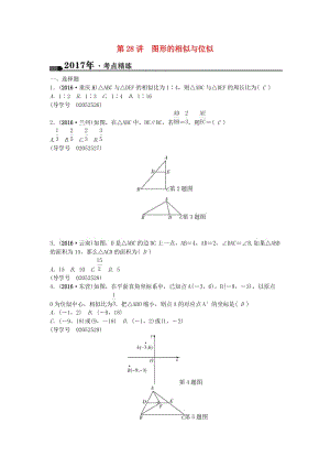 中考數學總復習 第七章 圖形與變化 第28講 圖形的相似與位似試題1