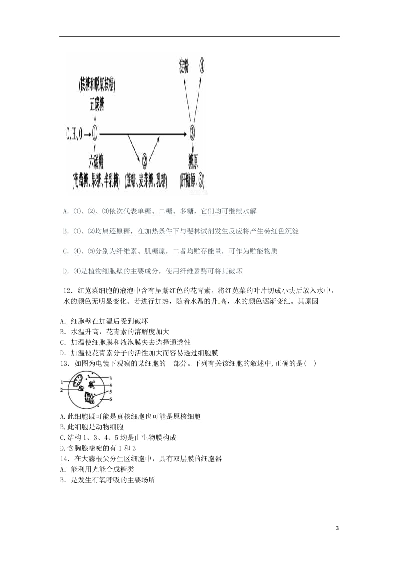 高一生物上学期期中试题11 (4)_第3页