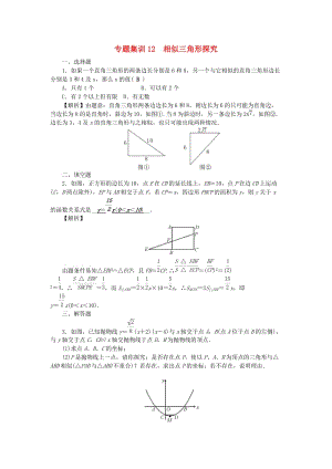 中考數(shù)學 第二輪 專題突破 能力提升 專題集訓12 相似三角形探究試題