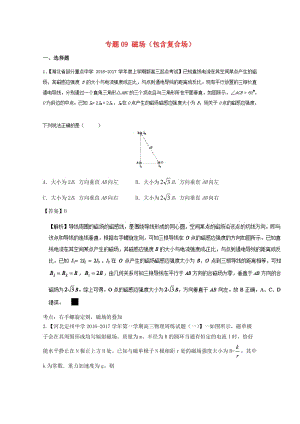 高三物理（第01期）好題速遞分項(xiàng)解析匯編 專題09 磁場（包含復(fù)合場）（含解析）