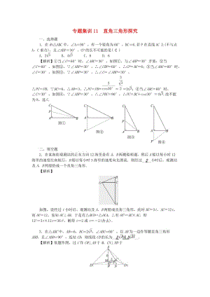 中考數(shù)學(xué) 第二輪 專題突破 能力提升 專題集訓(xùn)11 直角三角形探究試題