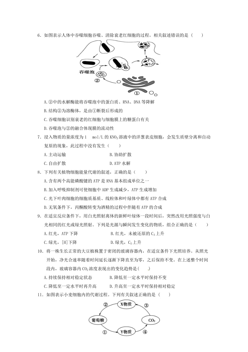 高三生物上学期期末学分认定考试试题（B卷）_第2页