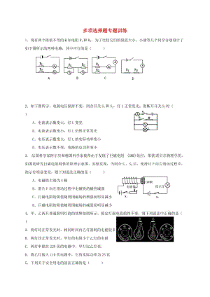 中考物理 多項(xiàng)選擇題專題訓(xùn)練