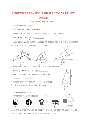 八年級數(shù)學(xué)上學(xué)期期中試題 新人教版 (4)