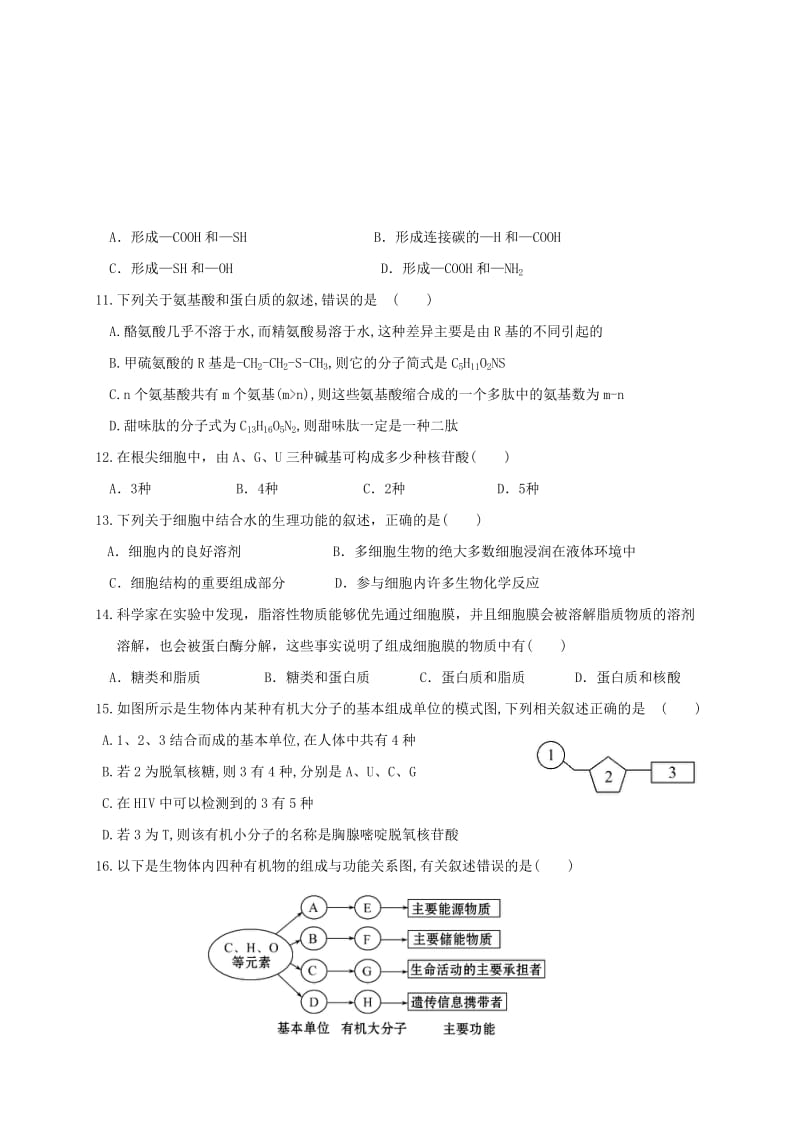 高一生物上学期模块考试（期中）试题_第3页