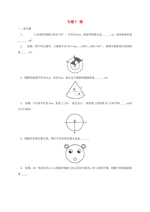 中考數(shù)學(xué)專題復(fù)習(xí)十 圓練習(xí)