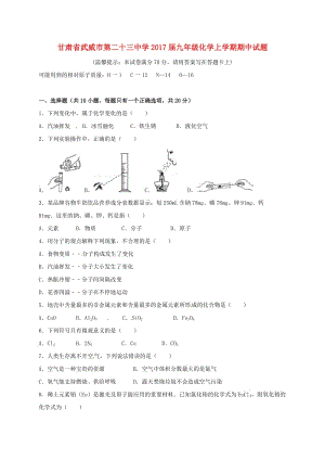 九年級(jí)化學(xué)上學(xué)期期中試題 新人教版0