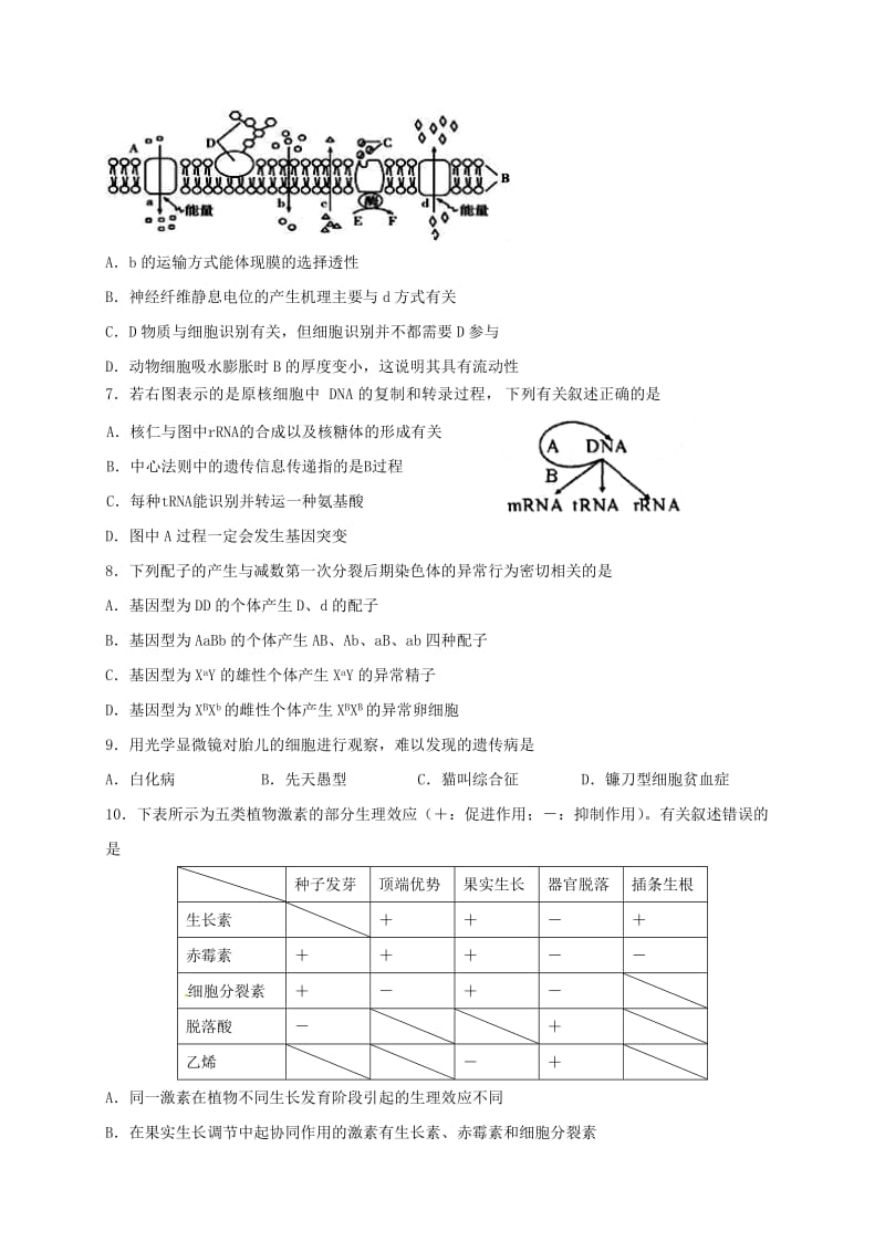 高三生物上学期期中试题14 (2)_第2页