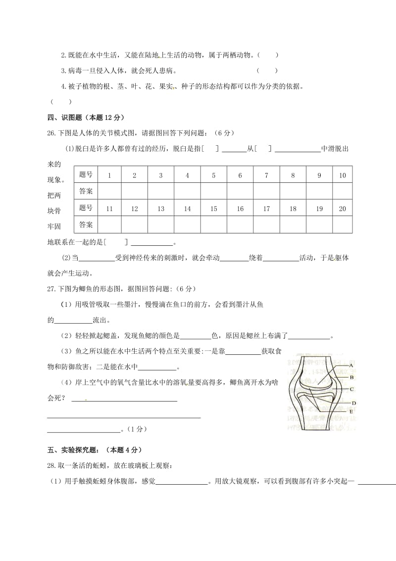 八年级生物上学期期末考试试题 新人教版 (5)_第3页