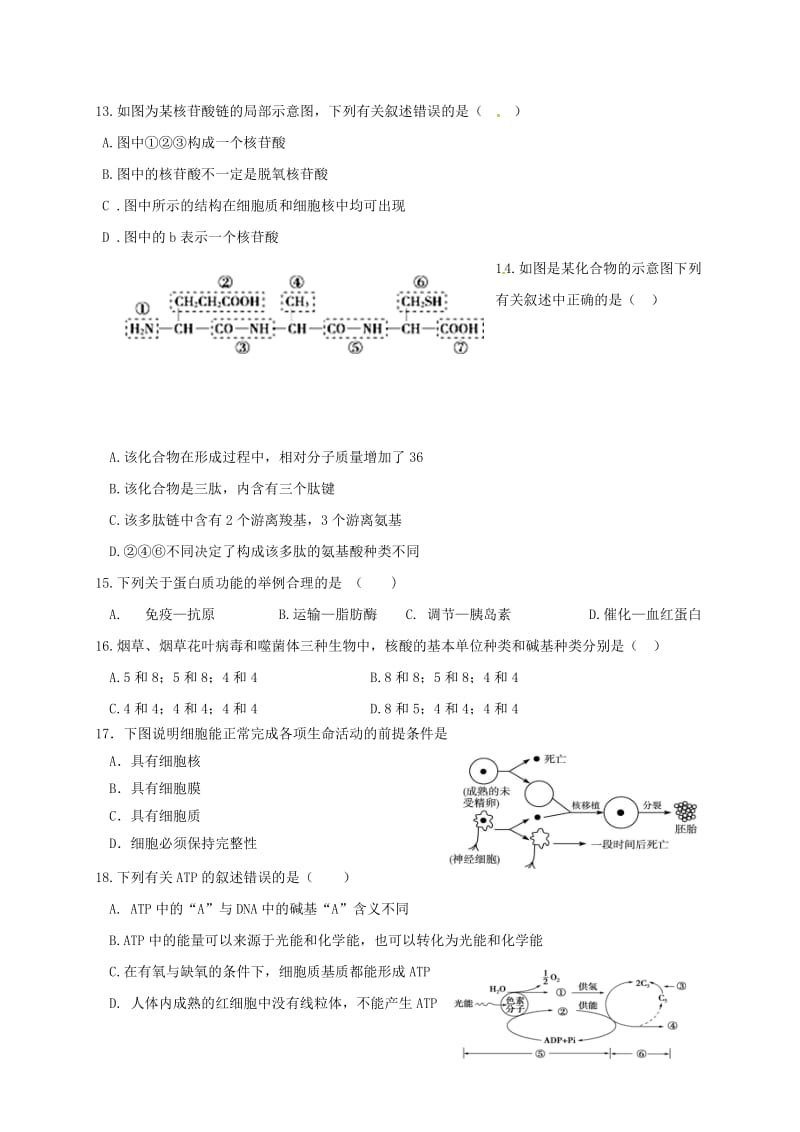 高三生物上学期第一次月考试题9 (2)_第3页