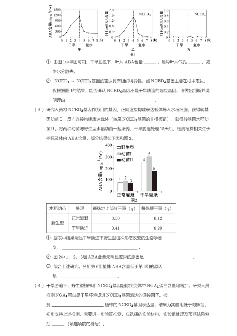 2019年北京市西城区高三二模生物试卷含答案.pdf_第3页