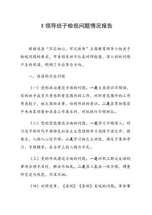 X領導班子檢視問題情況報告