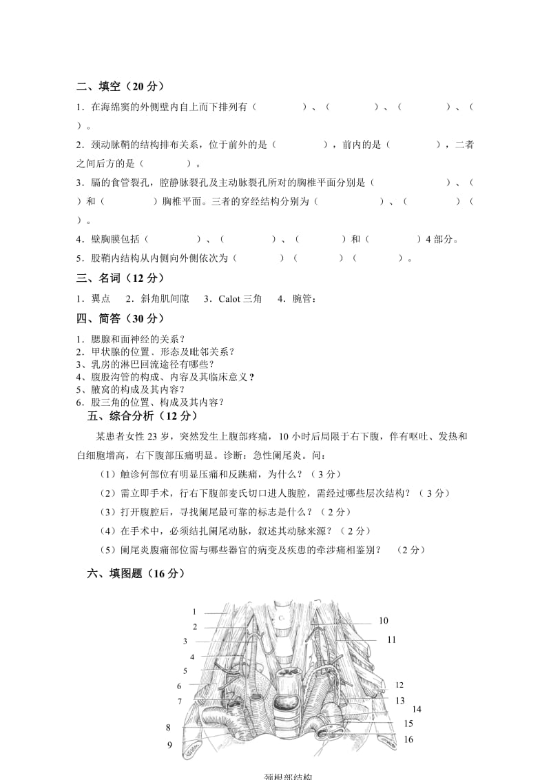 局部解剖学试题及答案 .doc_第2页