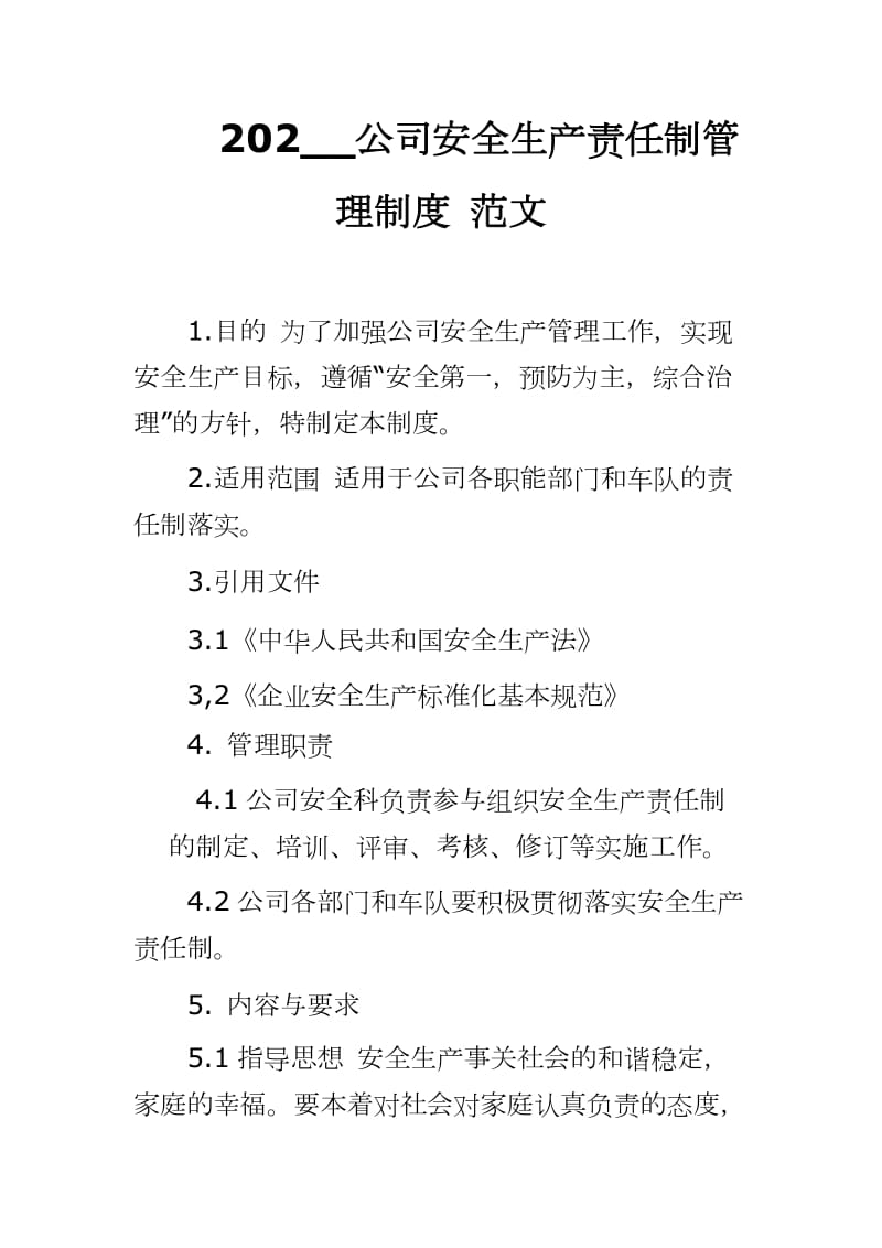 202__公司安全生产责任制管理制度 范文_第1页