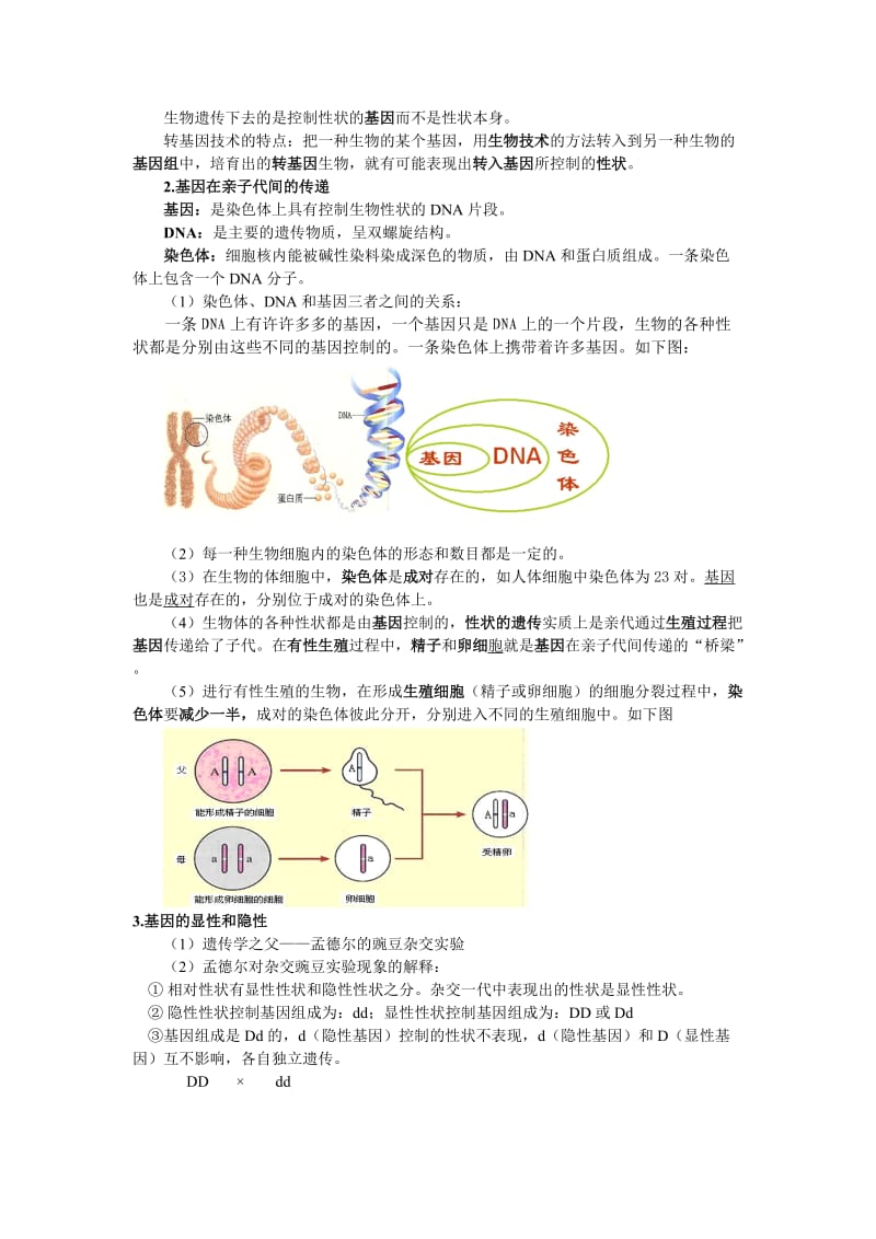 2018人教版八年级下册生物中考考点识记思维导图版.doc_第3页