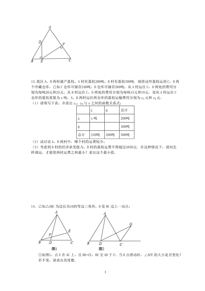 北师大版八年级上专题复习压轴题.doc_第3页