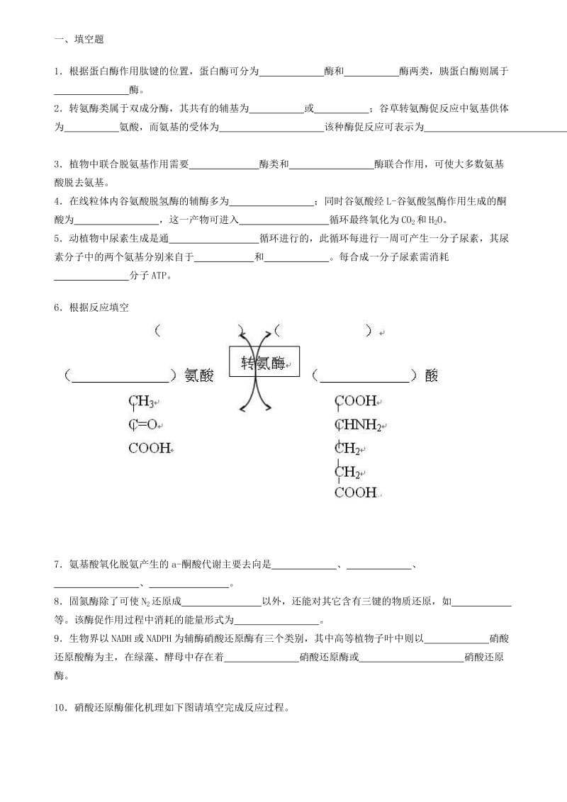 生物化学试题库及其答案——蛋白质降解和氨基酸代谢.doc_第1页