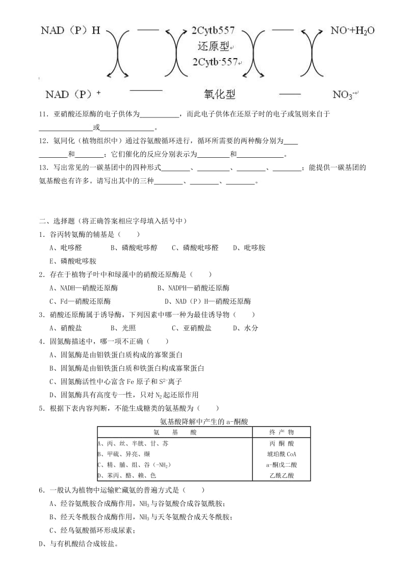 生物化学试题库及其答案——蛋白质降解和氨基酸代谢.doc_第2页